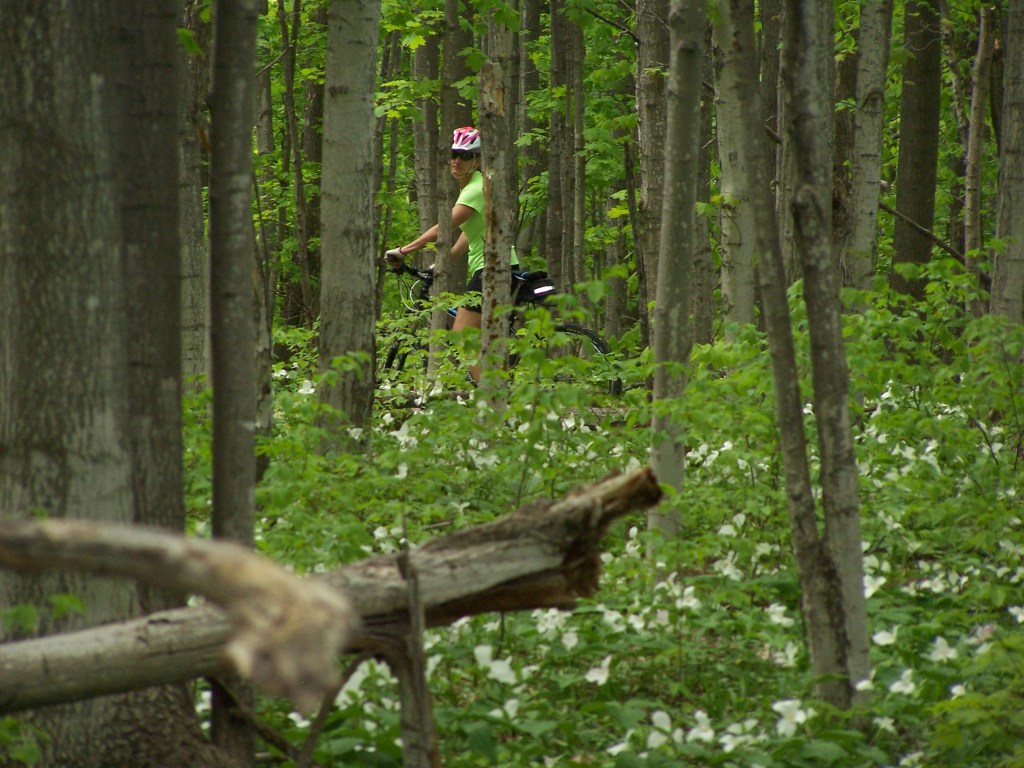 Mountain biking through trillium at Boyne Mountain, near Boyne Falls, Michigan. 