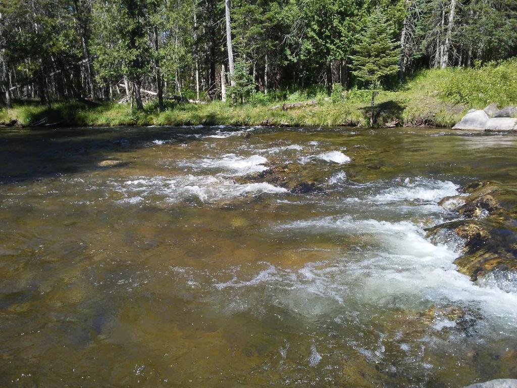 Rapids at Graves Crossing on the Jordan River in Northern Michigan.