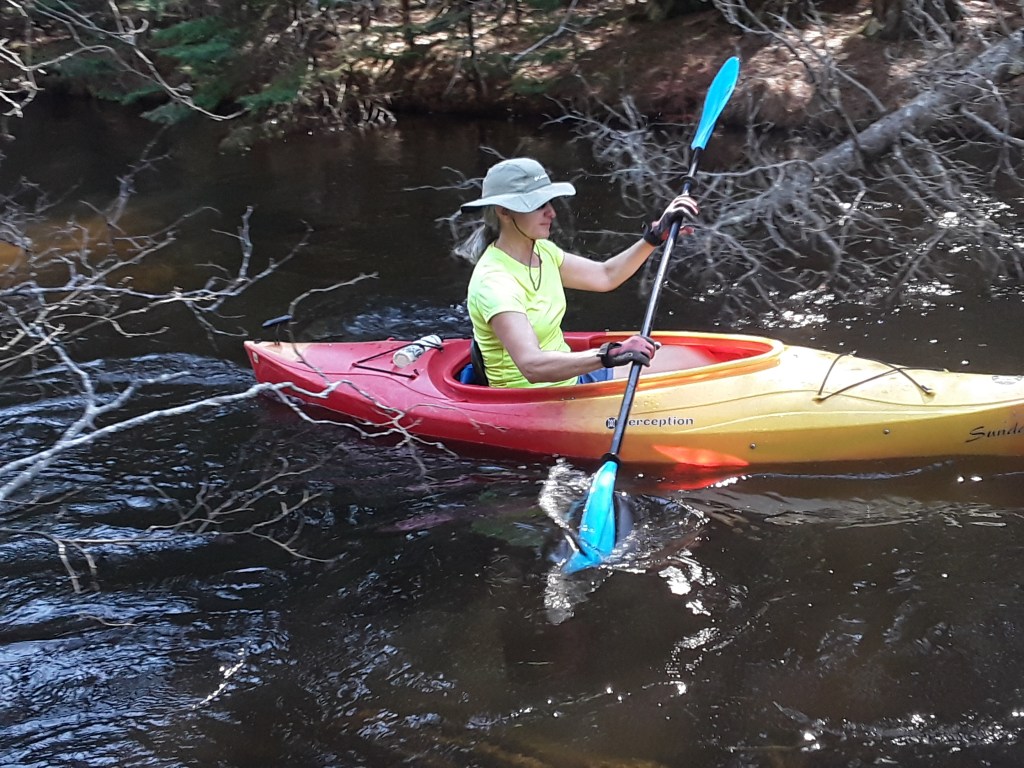 Kayaking around trees on the North Branch of the Au Sable River in Northern Lower Michigan. 