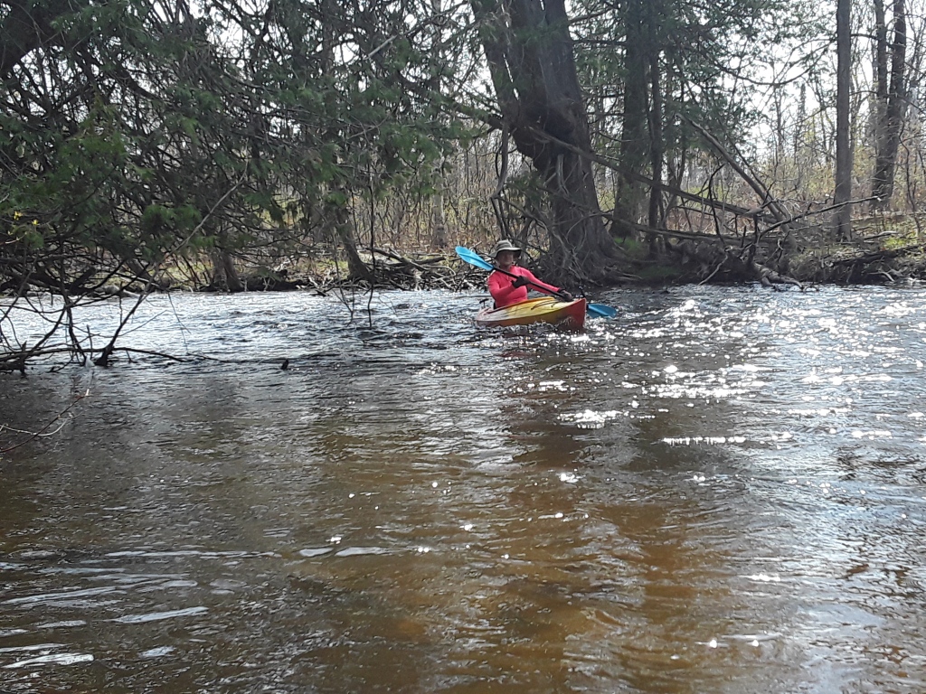 Kayaking through light rapids on the Boardman River near the Brown Bridge Canoe Launch, near Traverse City, Michigan. 