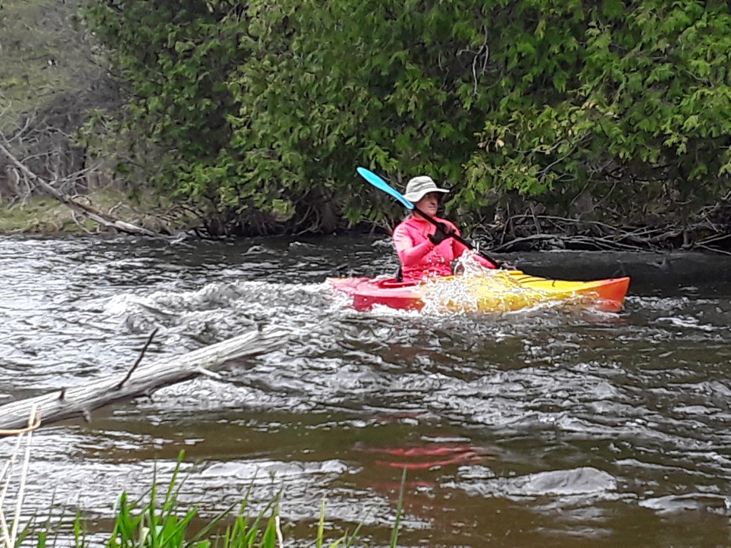 Kayaking on the Boardman River, near Traverse City, Michigan. 