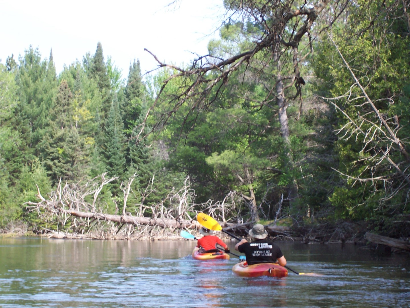 Holy Loop Au Sable River’s Holy Loop | N. Michigan River Paddling