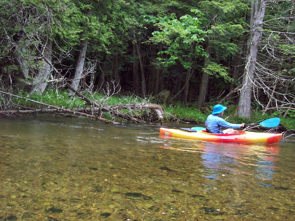 Kayaking next to dense forest on the Upper Platte River, Michigan.