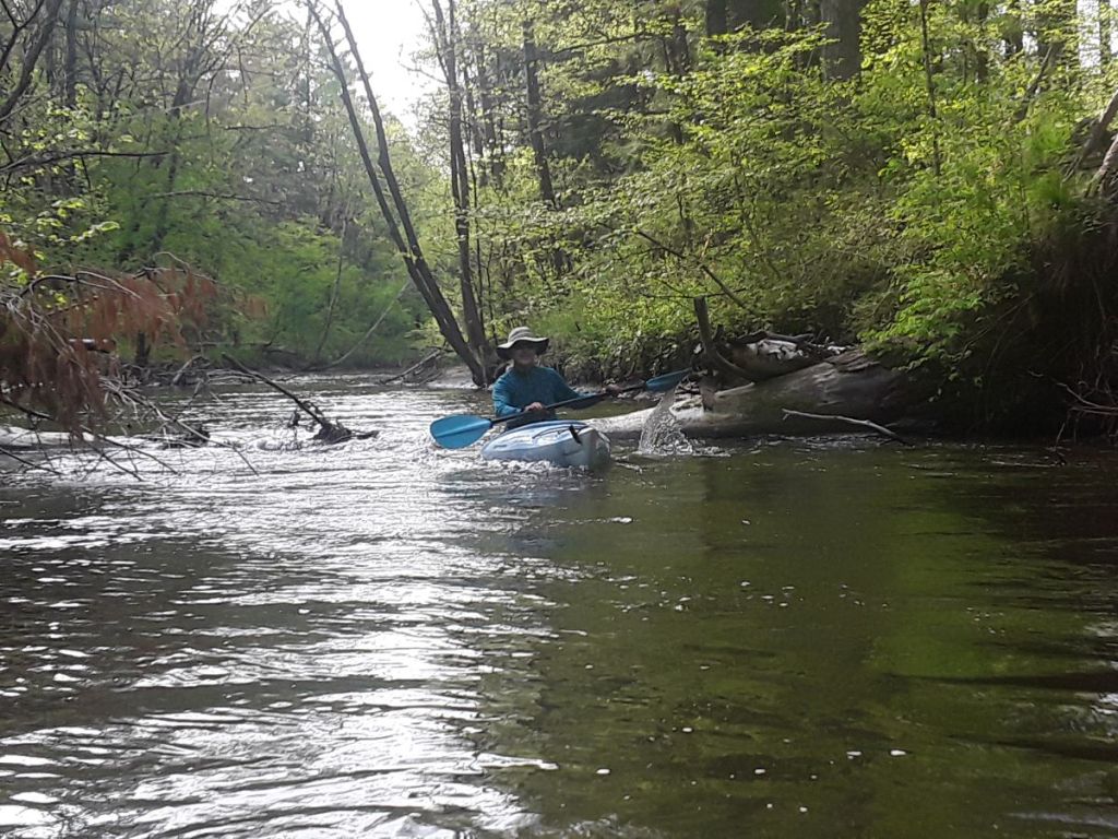 Kayaking on the Little Muskegon River in Michigan.